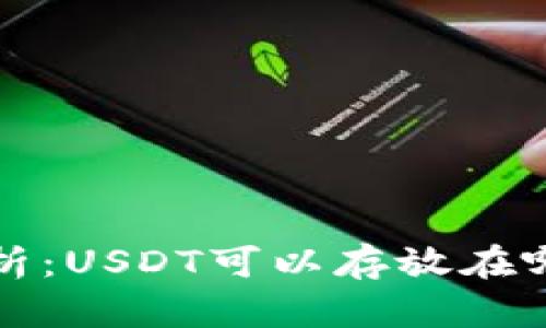  全面解析：USDT可以存放在哪些钱包？
