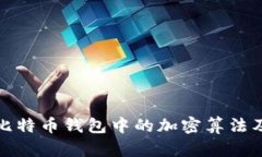深入探讨比特币钱包中的