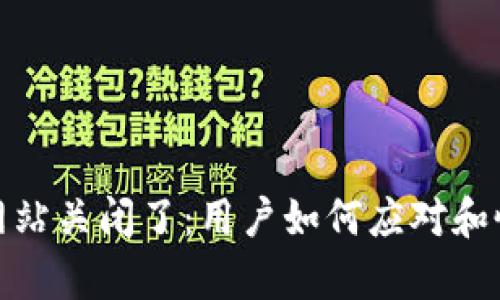 和关键词

比特币钱包网站关闭了：用户如何应对和恢复资产安全