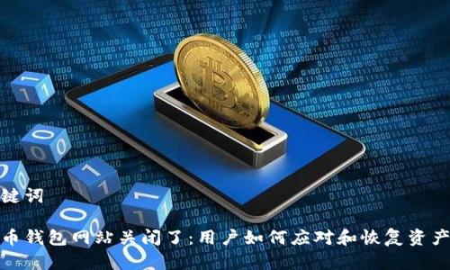 和关键词

比特币钱包网站关闭了：用户如何应对和恢复资产安全