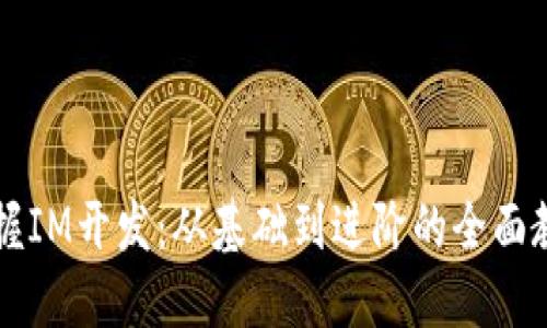 掌握IM开发：从基础到进阶的全面教程