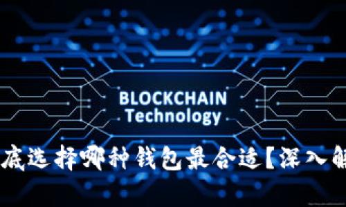 IM钱包到底选择哪种钱包最合适？深入解析与推荐