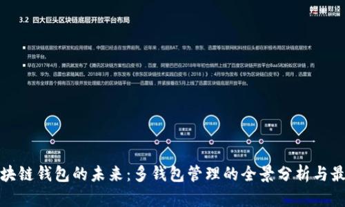 探索区块链钱包的未来：多钱包管理的全景分析与最佳实践