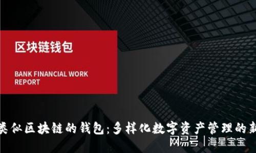 探索类似区块链的钱包：多样化数字资产管理的新时代
