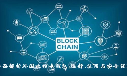 全面解析外国比特币钱包：选择、使用与安全保障