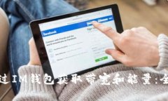 如何通过IM钱包获取带宽和