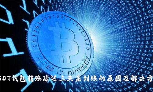 USDT钱包转账延迟三天未到账的原因及解决方案