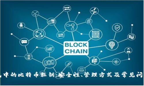 热钱包中的比特币私钥：安全性、管理方式及常见问题详解