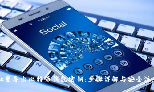 如何批量导出比特币钱包密钥：步骤详解与安全注意事项