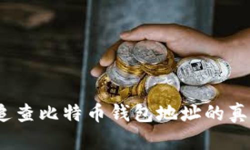 深入解析：如何追查比特币钱包地址的真实性与交易历程