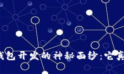 揭开区块链钱包开发的神秘面纱：它真的能赚钱吗？