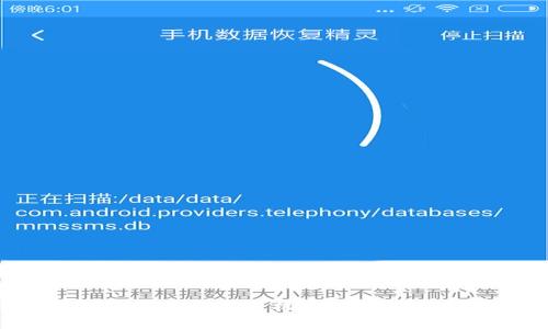 如何选择最适合您的中文版手机比特币钱包？全面解析与推荐