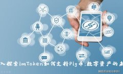 深入探索imToken如何支持