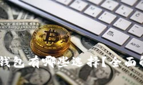 能接收USDT的钱包有哪些选择？全面解析及推荐比较