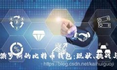 深入了解俄罗斯的比特币