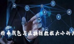 深度解析：比特币钱包与区块链数据大小的关系