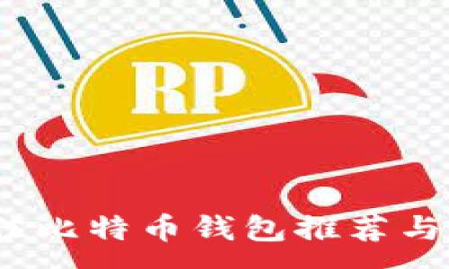 :
新手必看：最佳比特币钱包推荐与全面使用指南