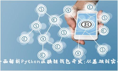 全面解析Python区块链钱包开发：从基础到实战