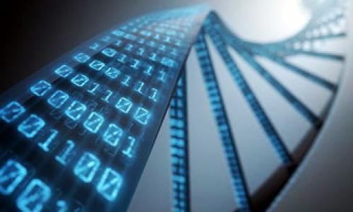 

IMTock虚拟币钱包：安全、便捷和高效管理数字资产的最佳选择