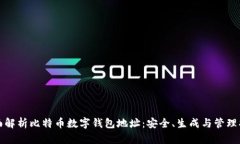 全面解析比特币数字钱包