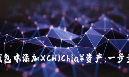 如何在imToken钱包中添加XCH（Chia）资产：一步步详解与实用技巧