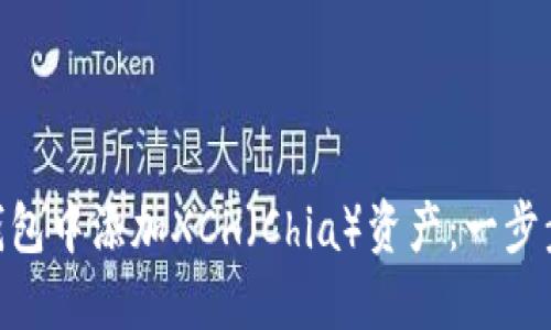 如何在imToken钱包中添加XCH（Chia）资产：一步步详解与实用技巧