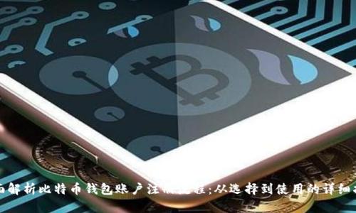 全面解析比特币钱包账户注册流程：从选择到使用的详细指南