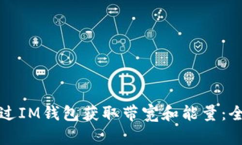 如何通过IM钱包获取带宽和能量：全面指南