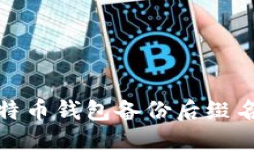 全面解析比特币钱包备份后缀名及其重要性