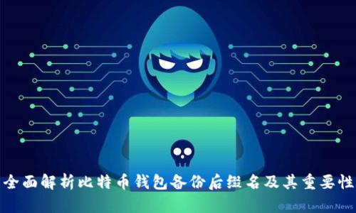 全面解析比特币钱包备份后缀名及其重要性