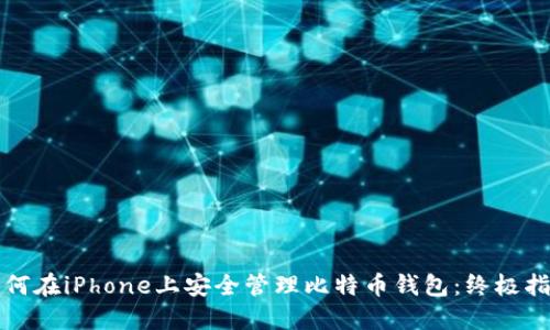 如何在iPhone上安全管理比特币钱包：终极指南