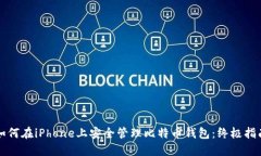 如何在iPhone上安全管理比