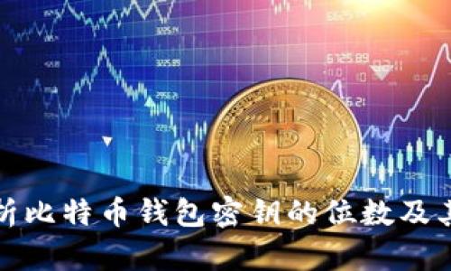 全面解析比特币钱包密钥的位数及其安全性