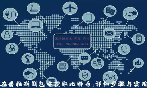 
如何在普拉斯钱包中获取比特币：详细步骤与实用技巧