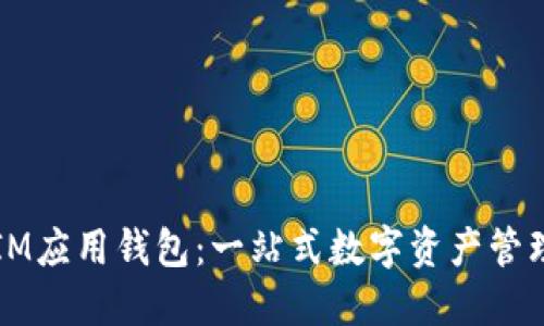 探索IM应用钱包：一站式数字资产管理平台