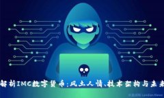 深入解析IMC数字货币：风