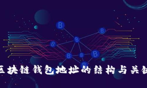 探索区块链钱包地址的结构与关键特征