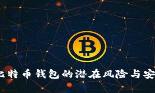深入分析：比特币钱包的潜在风险与安全防护策略