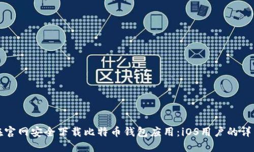 如何在官网安全下载比特币钱包应用：iOS用户的详细指南