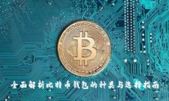 全面解析比特币钱包的种
