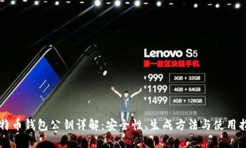 比特币钱包公钥详解：安全性、生成方法与使用指南