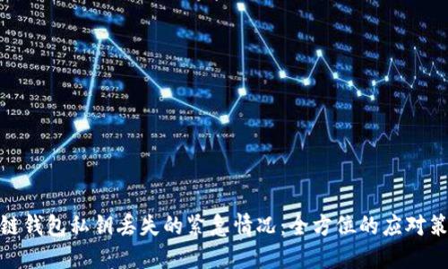 如何处理区块链钱包私钥丢失的紧急情况：全方位的应对策略与预防措施