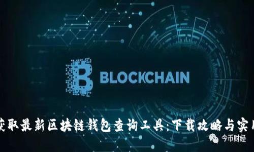 轻松获取最新区块链钱包查询工具：下载攻略与实用指南