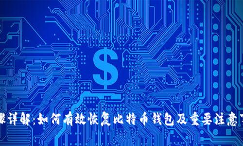 步骤详解：如何有效恢复比特币钱包及重要注意事项