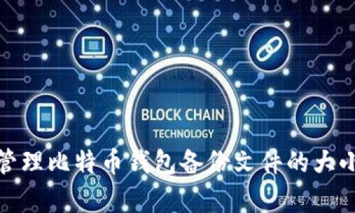 如何有效管理比特币钱包备份文件的大小与安全性