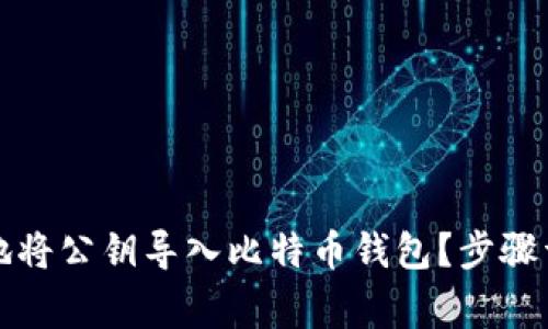 如何安全有效地将公钥导入比特币钱包？步骤详解与注意事项