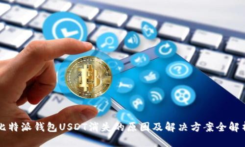 比特派钱包USDT消失的原因及解决方案全解析