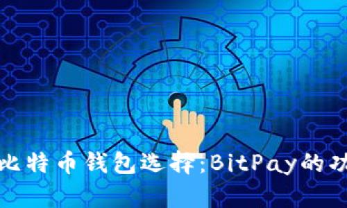 深入分析比特币钱包选择：BitPay的功能与优势