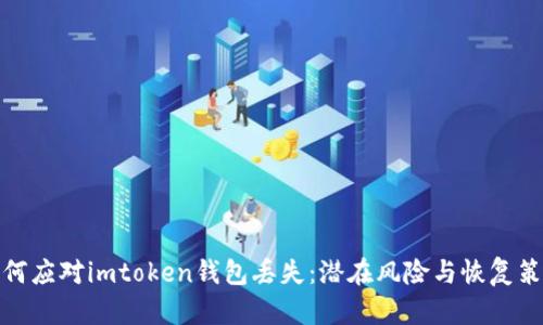 如何应对imtoken钱包丢失：潜在风险与恢复策略