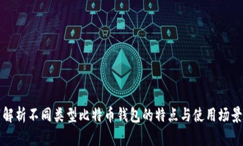 解析不同类型比特币钱包的特点与使用场景